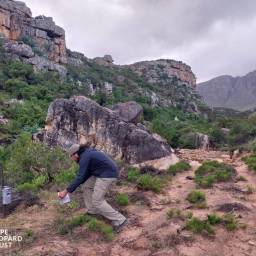 06-servicing-camera-traps_original